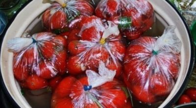 Малосольные помидоры, приготовленные в пакете