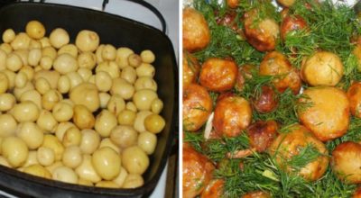 Что вкусного приготовить из молодого картофеля: 5 обалденных блюд для настоящих ценителей